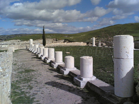 Columnas